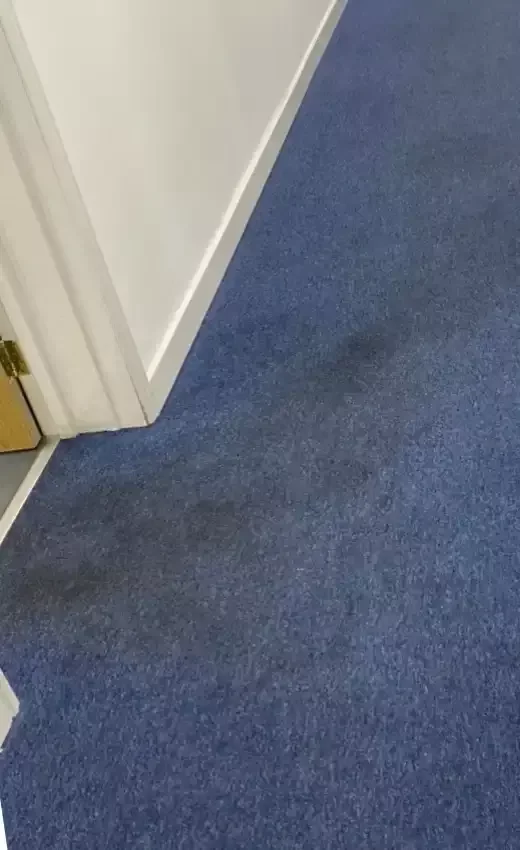Before Cleaning