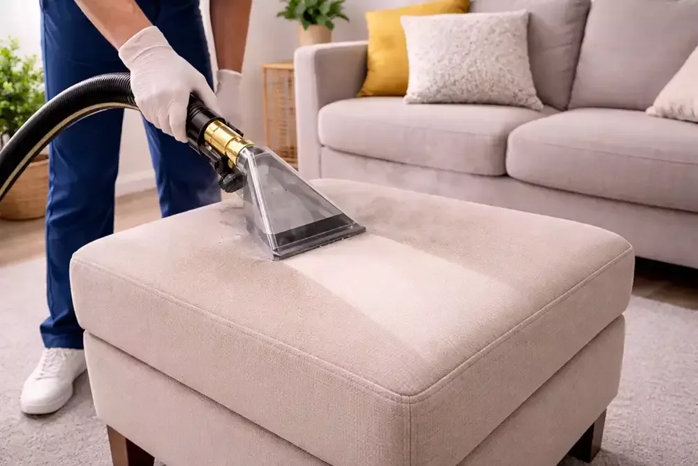 Professional stain removal service